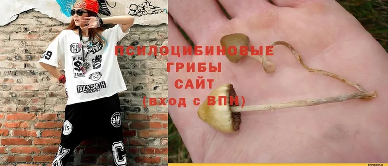 Галлюциногенные грибы MAGIC MUSHROOMS Белебей